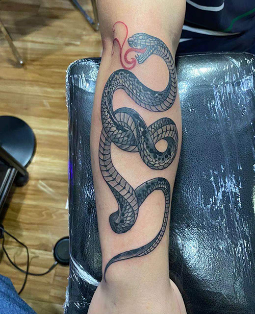 小臂蛇纹身